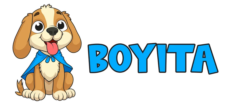 Boyita